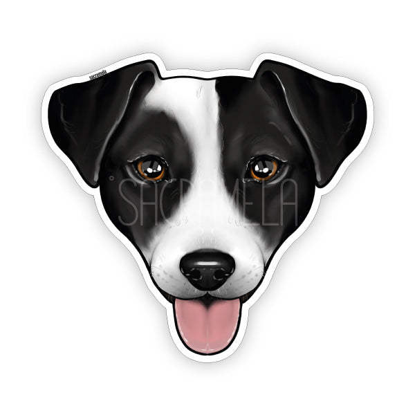 JACK RUSSELL TERRIER BLACK WHITE