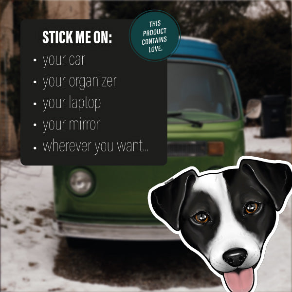 JACK RUSSELL TERRIER BLACK WHITE