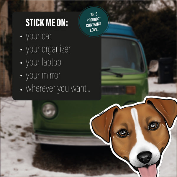 JACK RUSSELL TERRIER BROWN