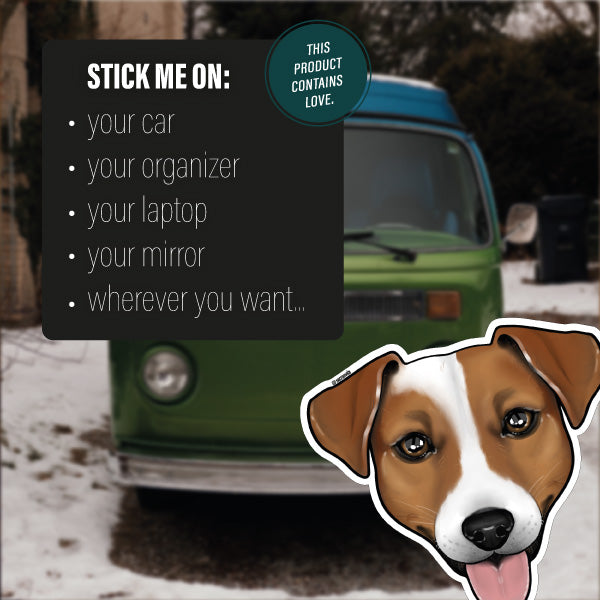 JACK RUSSELL TERRIER BROWN WHITE