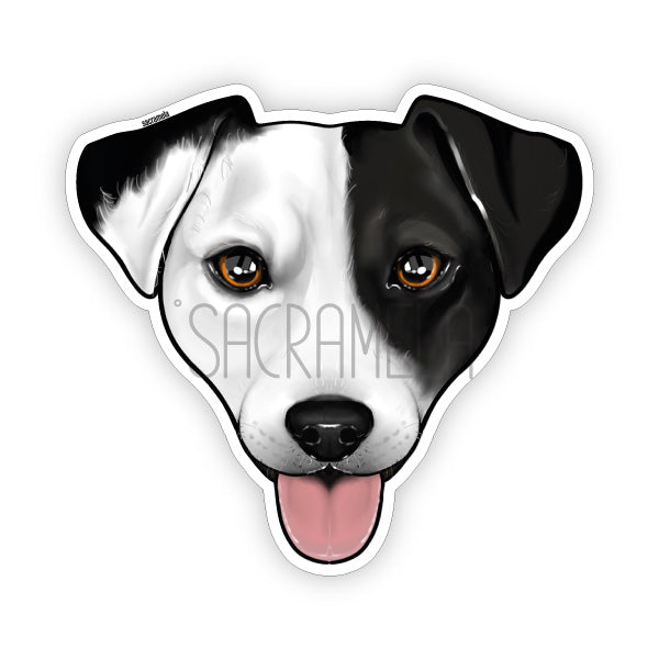 JACK RUSSELL TERRIER WHITE BLACK