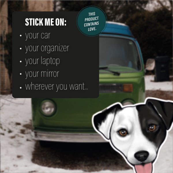 JACK RUSSELL TERRIER WHITE BLACK
