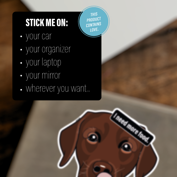LABRADOR RETRIEVER CHOCOLATE