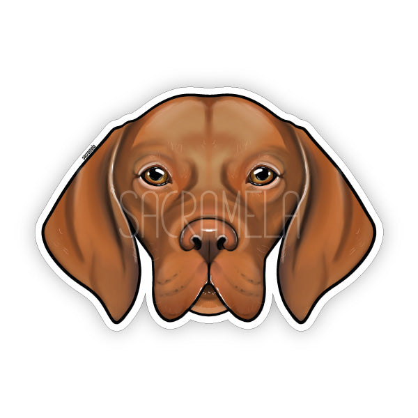 MAGYAR VIZSLA
