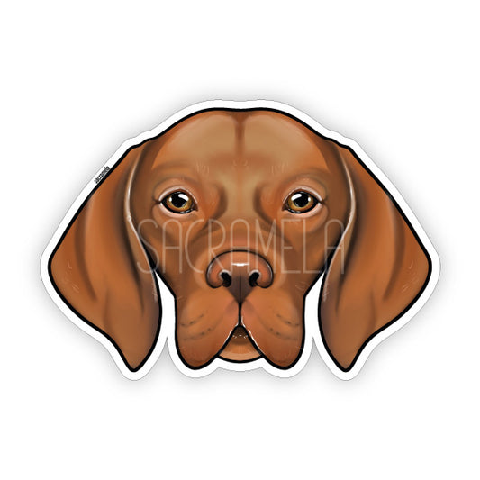 MAGYAR VIZSLA