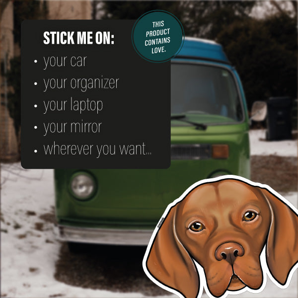 MAGYAR VIZSLA