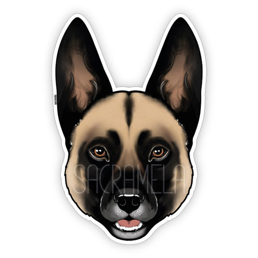 MALINOIS