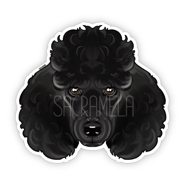 POODLE BLACK