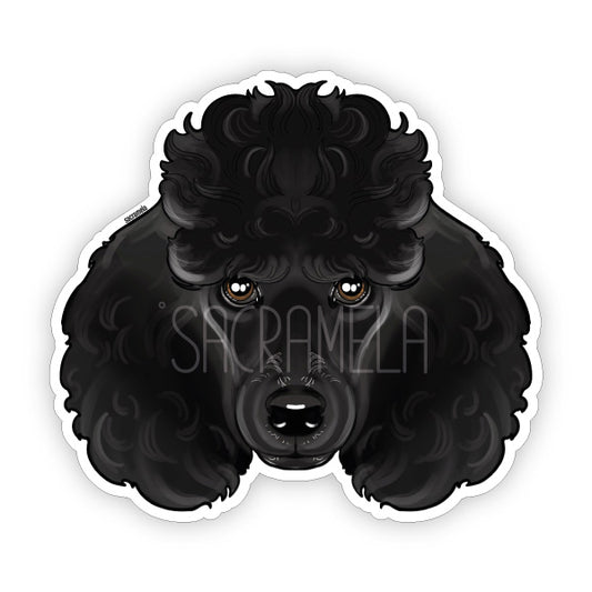 POODLE BLACK