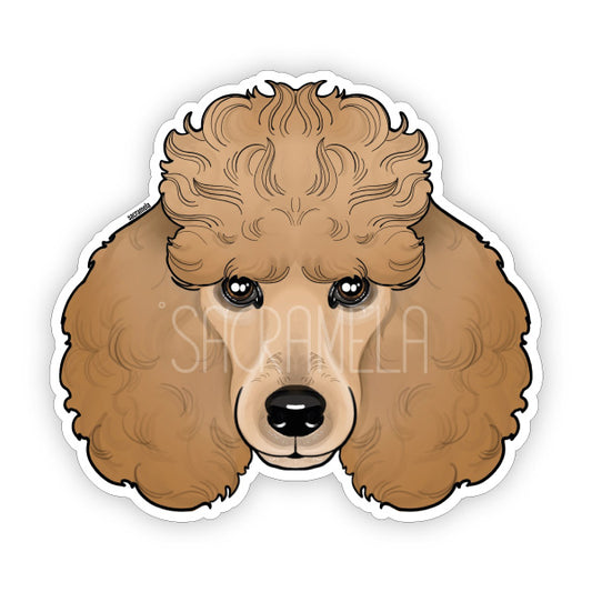 POODLE BROWN