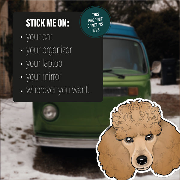 POODLE BROWN