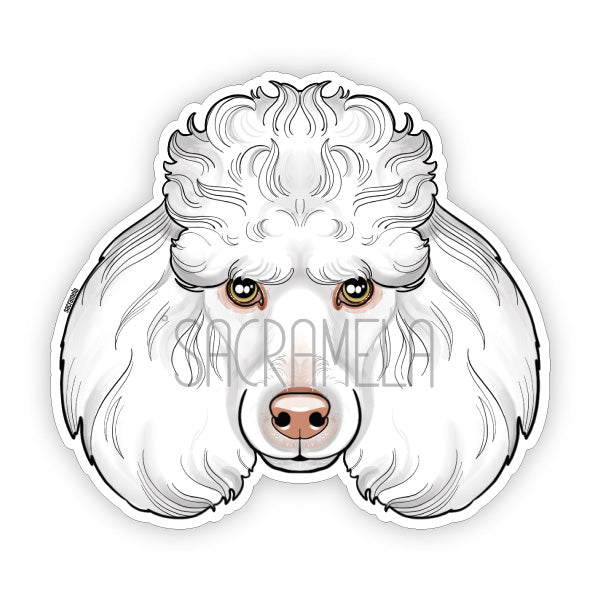 POODLE WHITE