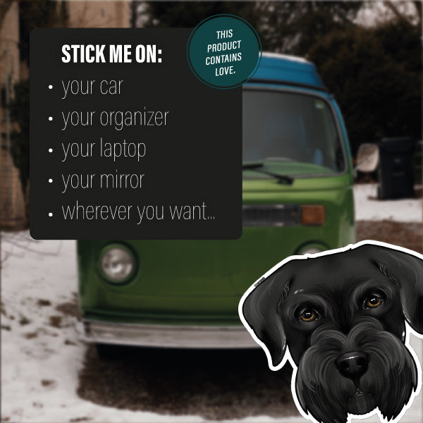 GIANT SCHNAUZER BLACK