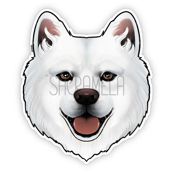 SAMOYED / SAMOJEDE