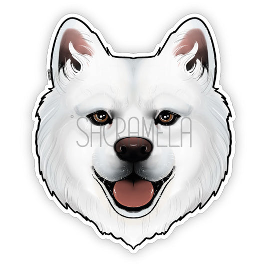 SAMOYED / SAMOJEDE
