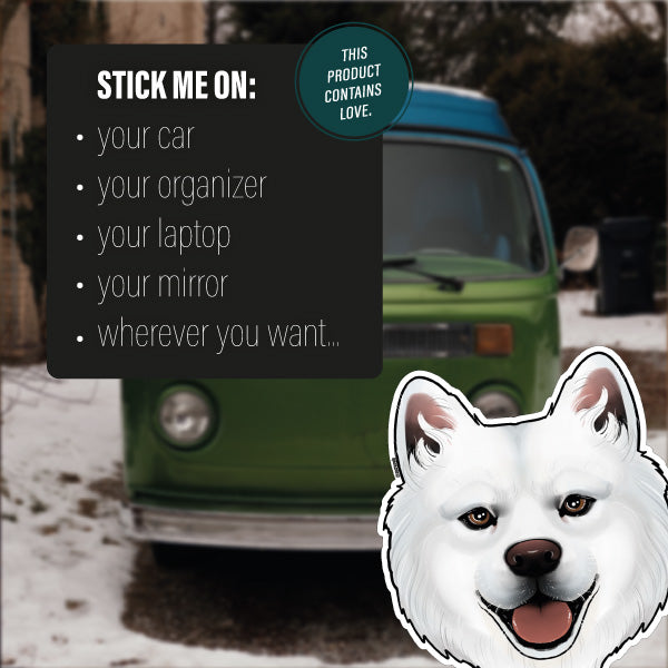 SAMOYED / SAMOJEDE