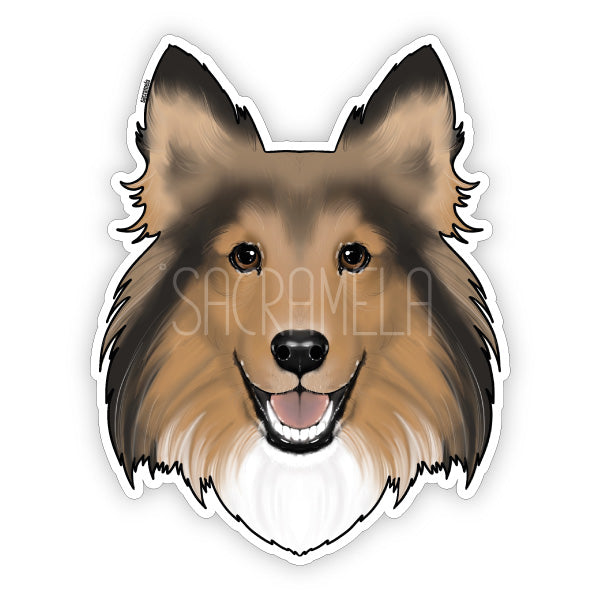 SHETLAND SHEEPDOG MAHOGANY SABLE