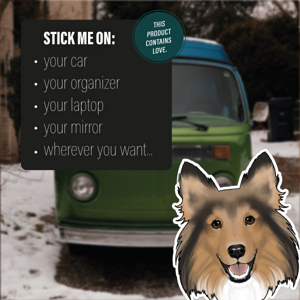 SHETLAND SHEEPDOG MAHOGANY SABLE