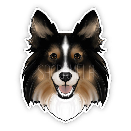 SHETLAND SHEEPDOG TRI COLOR