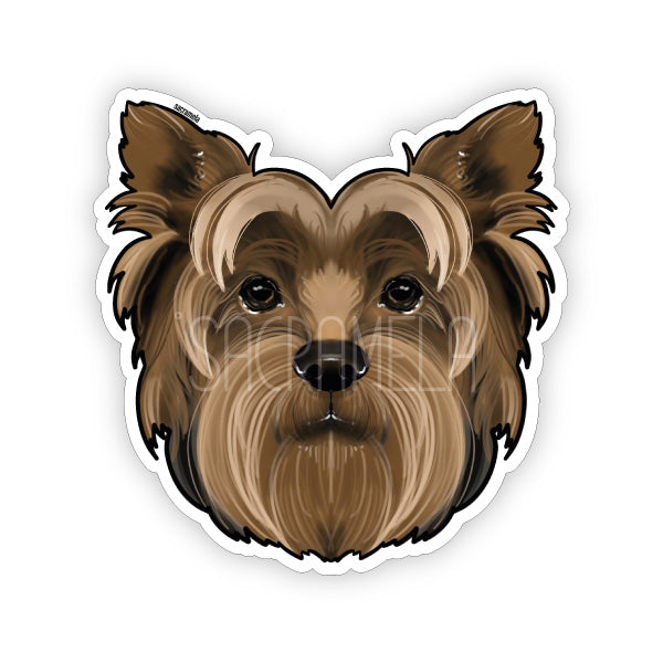 YORKSHIRE TERRIER BROWN