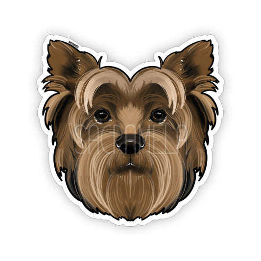 YORKSHIRE TERRIER BROWN
