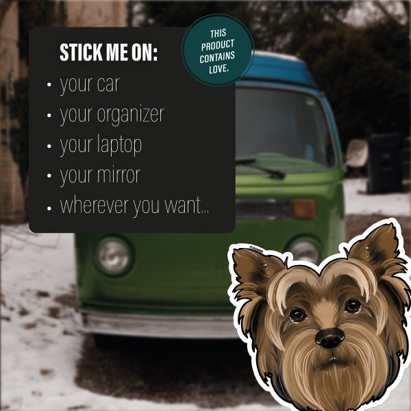 YORKSHIRE TERRIER BROWN