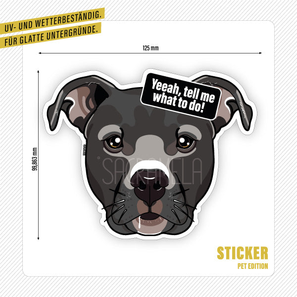 AMERICAN STAFFORDSHIRE SILVER