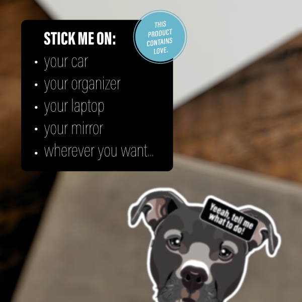 AMERICAN STAFFORDSHIRE SILVER