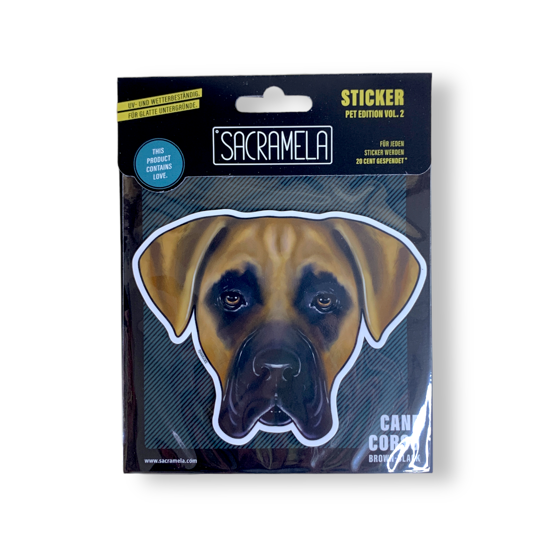 CANE CORSO BROWN BLACK