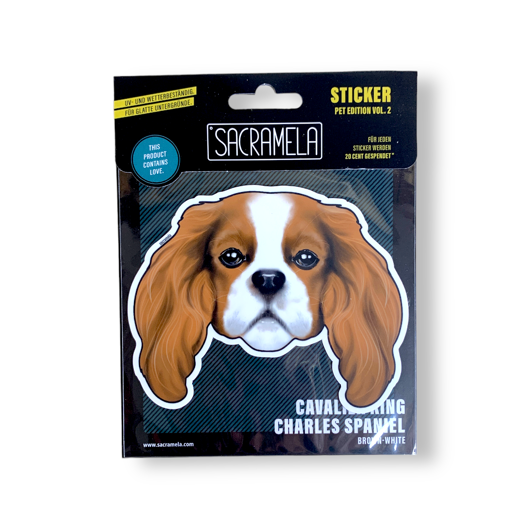 CAVALIER KING CHARLES SPANIEL BROWN