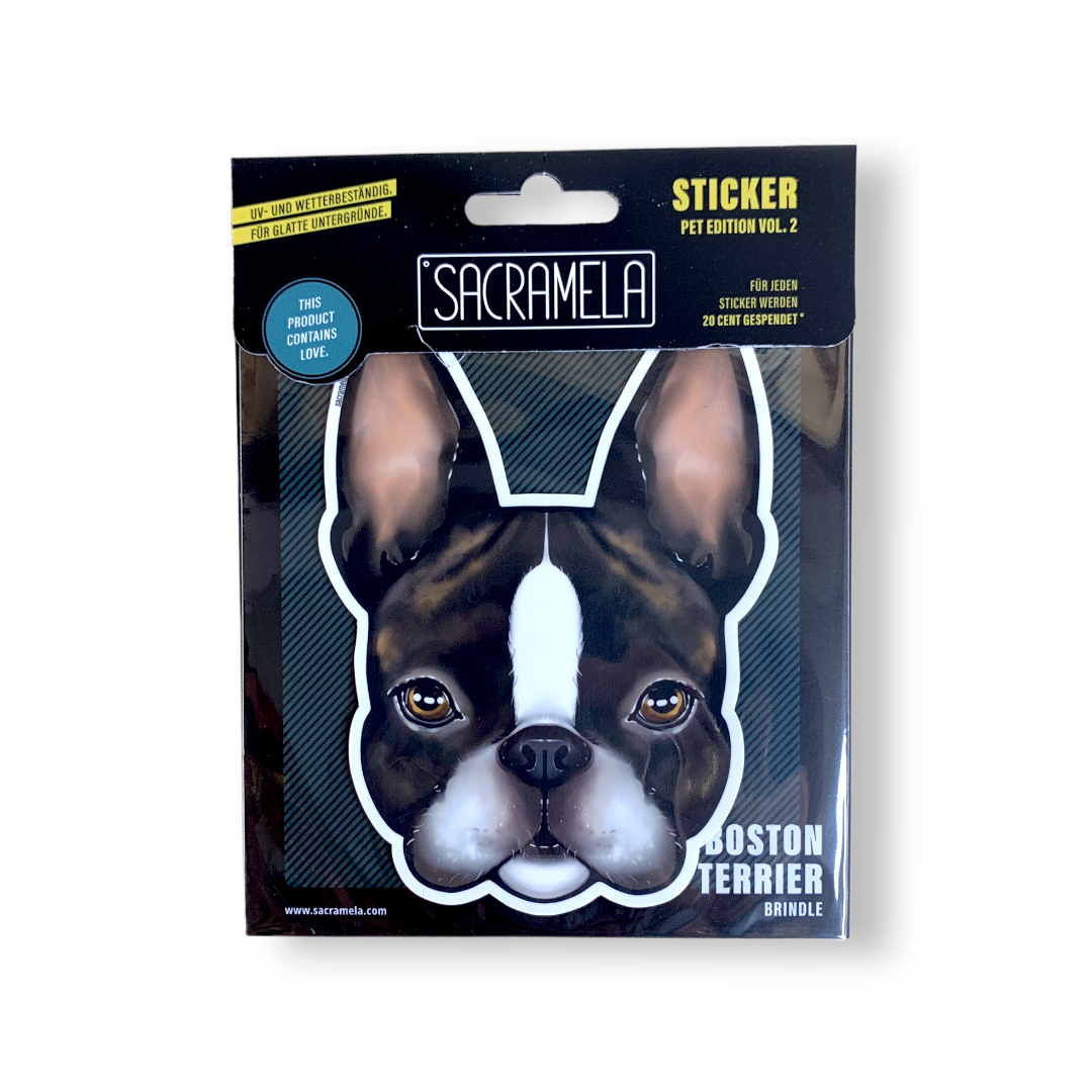 BOSTON TERRIER BROWN WHITE