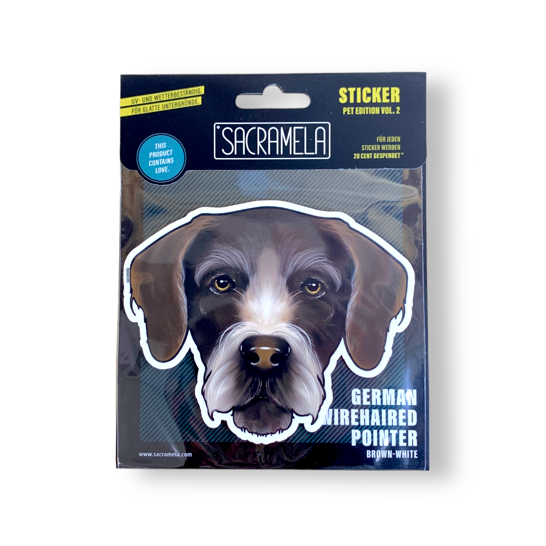 GERMAN WIREHAIRED POINTER BROWN WHITE