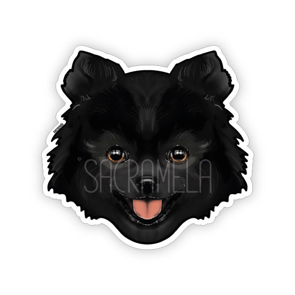 POMERANIAN BLACK