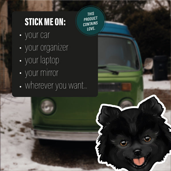 POMERANIAN BLACK