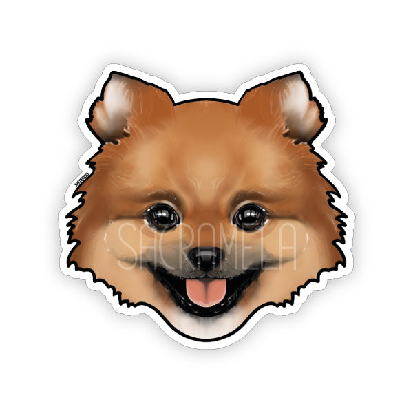POMERANIAN BROWN