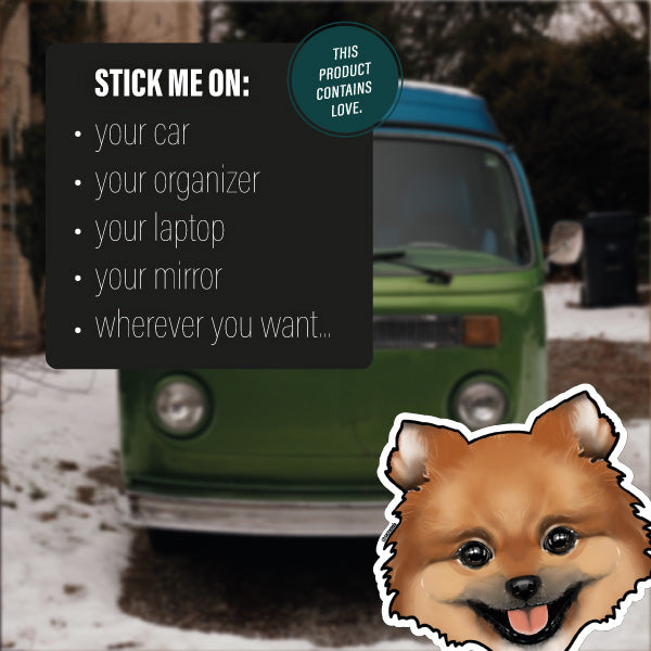 POMERANIAN BROWN