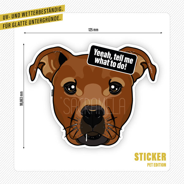 AMERICAN STAFFORDSHIRE TERRIER BROWN