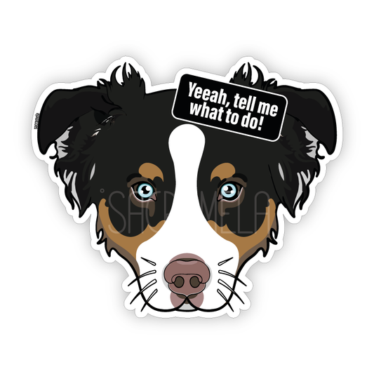 AUSTRALIAN SHEPHERD BLACK BROWN