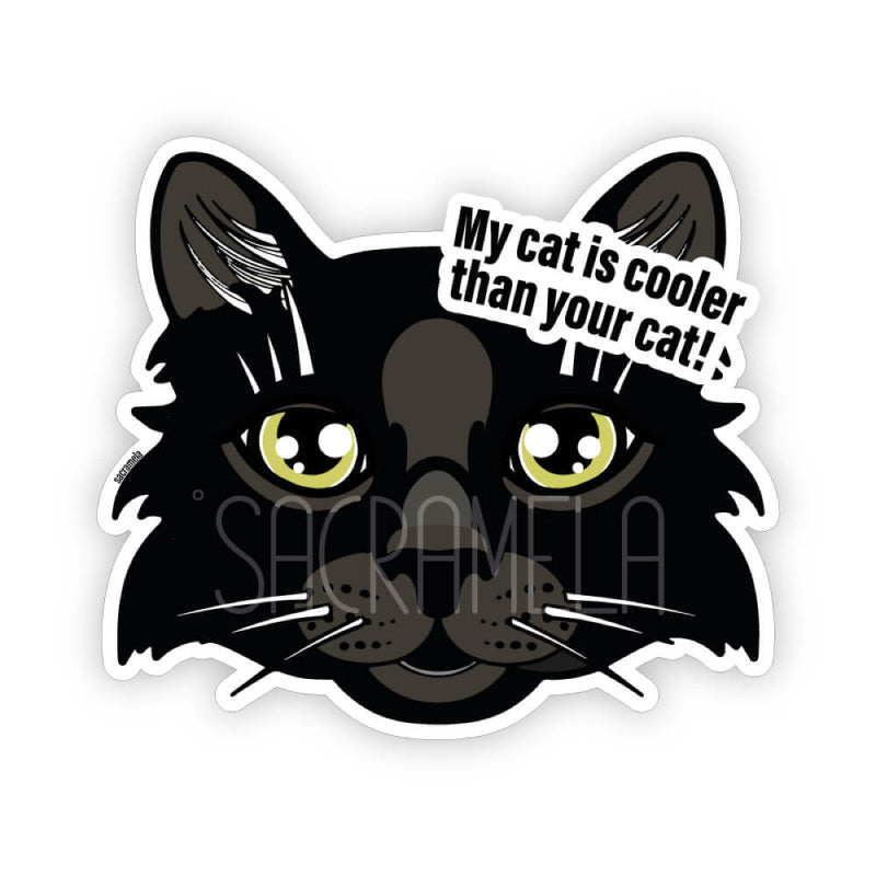 BLACK CAT LONGHAIRED
