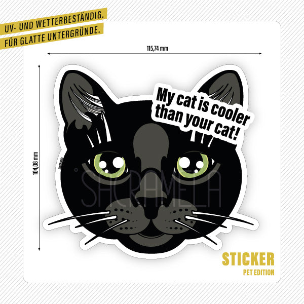 BLACK CAT SHORTHAIRED