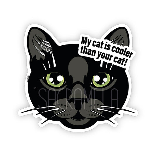 BLACK CAT SHORTHAIRED