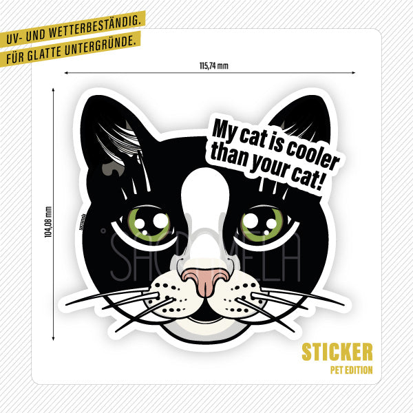 BLACK WHITE CAT SHORTHAIRED