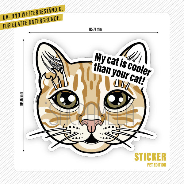GINGER TABBY CAT SHORTHAIRED