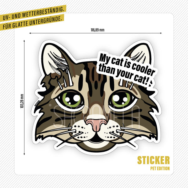 TIGER TABBY CAT LONGHAIRED