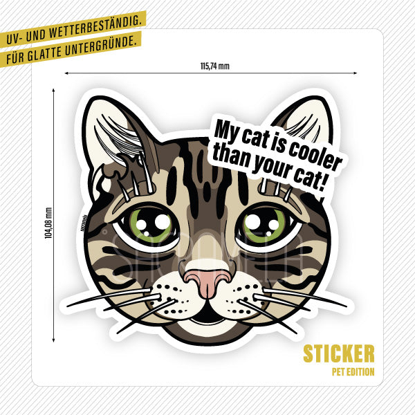 TIGER TABBY CAT SHORTHAIRED