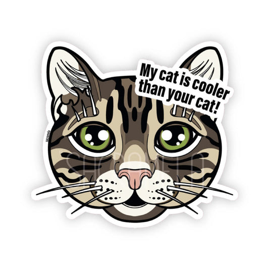 TIGER TABBY CAT SHORTHAIRED