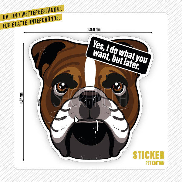ENGLISH BULLDOG