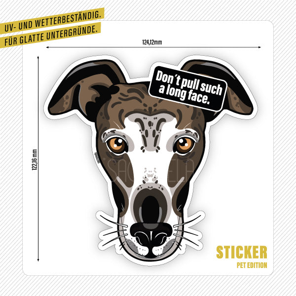 GALGO ESPANOL MULTICOLOR