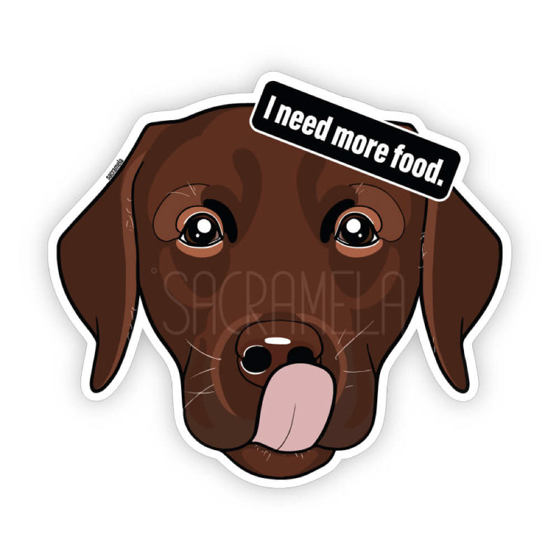 LABRADOR RETRIEVER CHOCOLATE