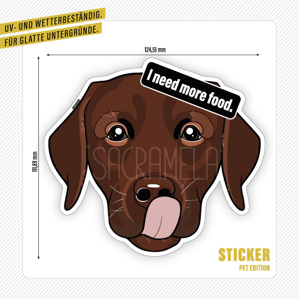 LABRADOR RETRIEVER CHOCOLATE